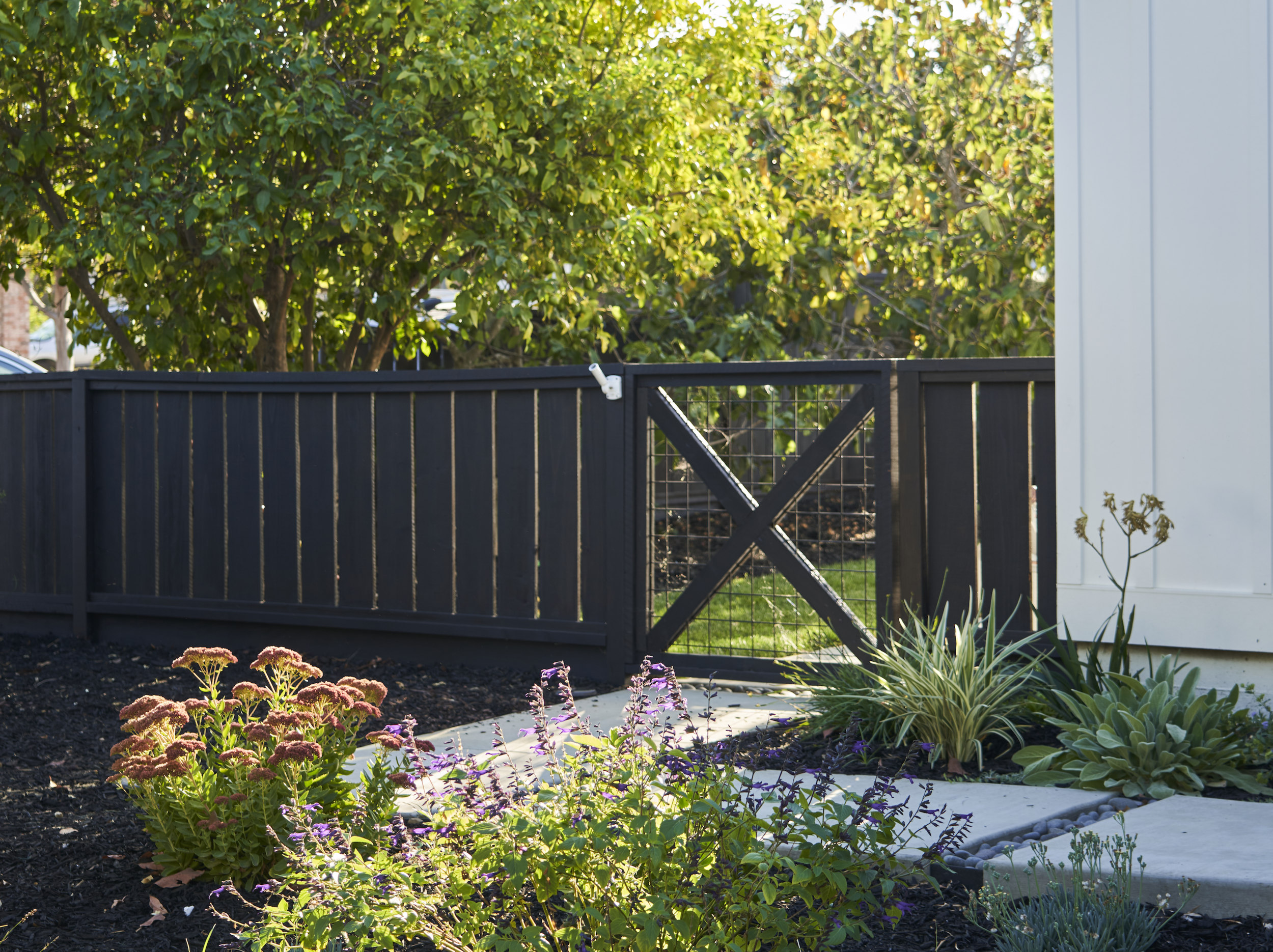 Fence Design Ideas for Every Style and Budget